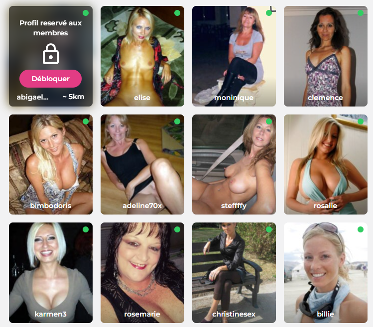 Grille de profils sur Everflirt